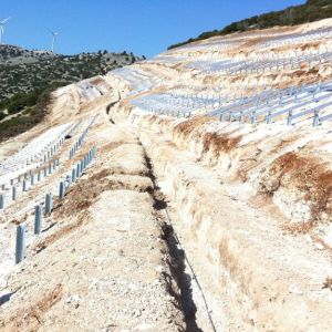 2012_0409PHOTOSS0187-768x574